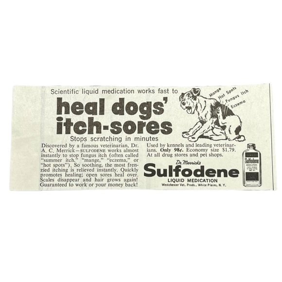 Small Vintage Print Ad Sulfodene Dog Itch Medication Dr Merrick Veterinary Decor - Picture 1 of 5